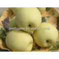 fresh Ya pear supplier